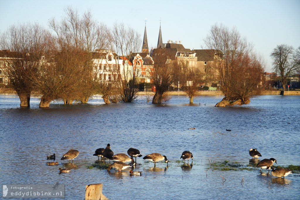 2010-12-15 Zicht op Deventer bij hoog water 005